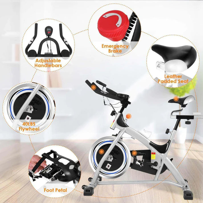 Heavy Duty Domestic Spin Bike (Crystal / Ancheer SJ-3373)